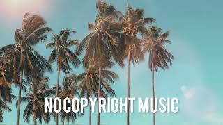 Scandinavianz - Coconuts (No Copyright Music)