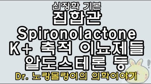 집합관(collecting duct): 알도스테론(aldosterone), Spironolactone, vasopressin(ADH) 등