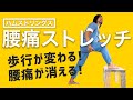 【腰痛ストレッチ】1日2分、股関節と膝のストレッチで歩行がダイナミックに。腰が痛い原因を根本的に解消する神セルフストレッチ。