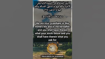 إن الذين قالوا ربنا الله | القارئ حمزة بوديب | تلاوة هادئة تريح القلب وتشرح الصدور