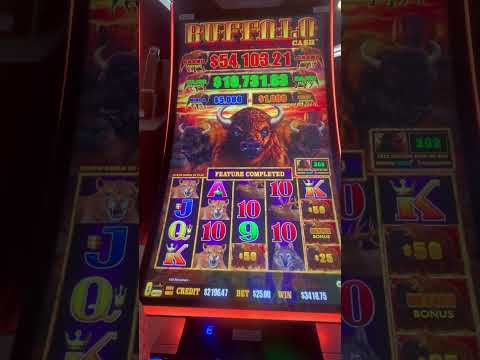 #casino #gambling #casinoonline #slots #money #free #lucknow