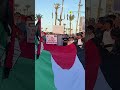 Pro-Palestinian demonstrations continue around the world