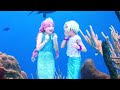 The Princesses Are Mermaids? ⭐ 1-Hour Compilation ⭐ Princesses In Real Life | Kiddyzuzaa - WildB