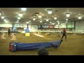 Kalil Open STD 12-10-10 Agility Trial Kalil Open STD 12-10-10 Agility Trial