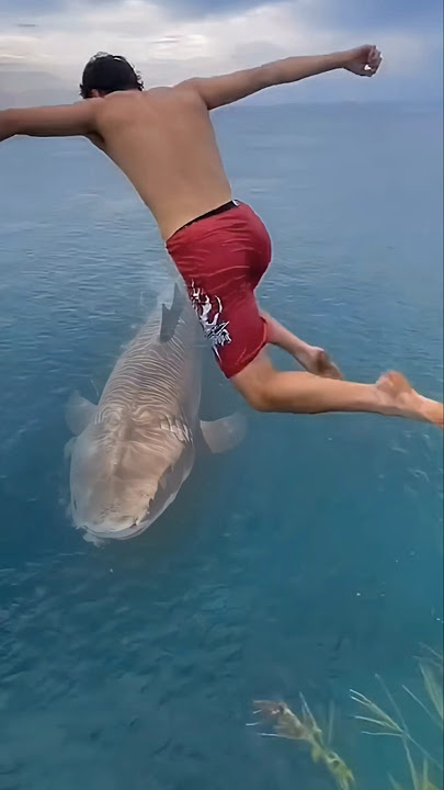 Gawat‼️melompat diatas ikan hiu megalodon #shorts #viralvideo #trending