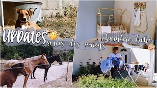 VLOG UPDATE : perte de poids mes chevaux et chambre de bébé