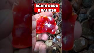 ÁGATA RARA E VALIOSA #pedras #gemstone #pedrasquentes #pedraspreciosas #agata #rochas #pedrasraras