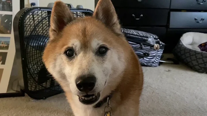 Major staring at me w/ a creepy smile for 10 seconds - DayDayNews