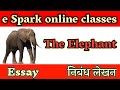 The elephant  animal  essay