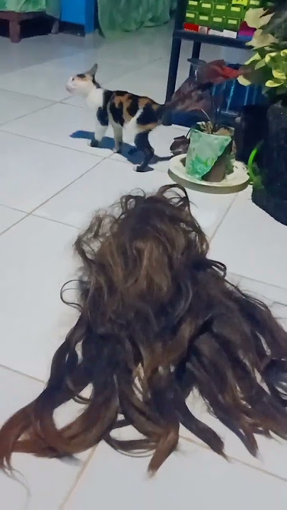 Meng gusto mo ata mag model ng weg  kulit mo #short#trend