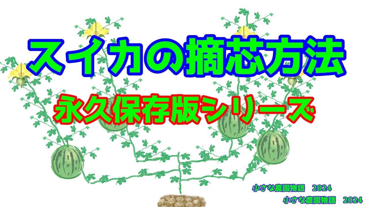 Watermelon] How to Pinch the Top of a Watermelon - Permanent
