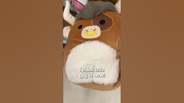 squishmallow hunt at target! #squishmallows #squishtok #squishmallowcheck