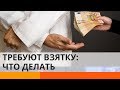 Коррупция в Украине: что делать, если у вас требуют взятку