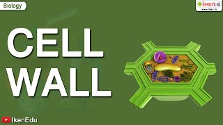 Cell Wall | iKen | iKen App | iKen Edu