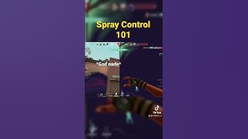 What 2k hours in CSGO looks like…