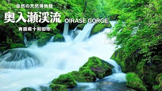 奥入瀬渓流｜新緑・紅葉・氷瀑を巡る四季の絶景トレイル – 青森県