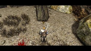 All Earth Aloe locations | The Chronicles of Myrtana: Archolos