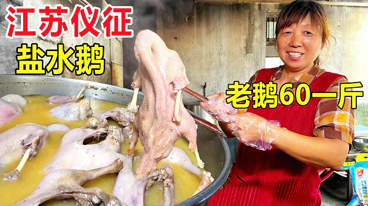 江苏扬州大姐三代人做盐水鹅，老鹅卖60一斤，鹅头30元不够卖！Jiangsu salted goose #麦总去哪吃 - 天天要闻