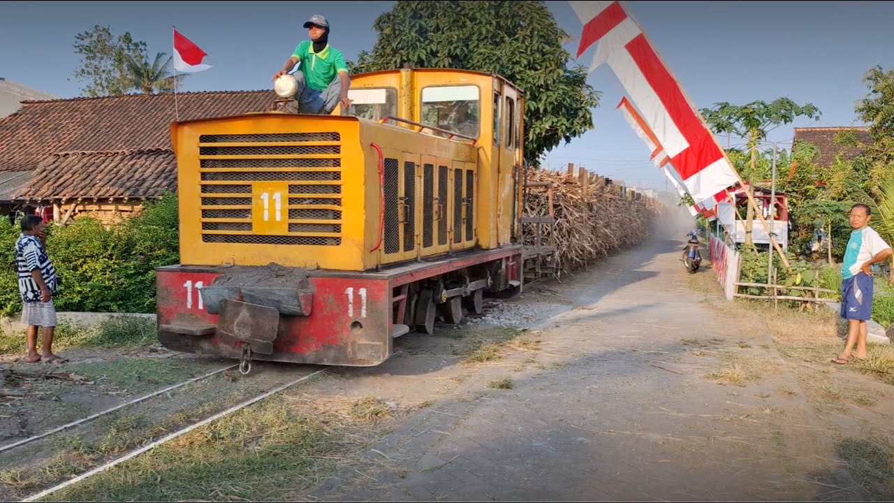 Поезда, перевозящие сахарный тростник, всё ещё курсируют через деревни Джембер‼️