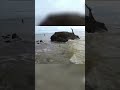 Gefährlicher Prozess: Atemschutz und Funde im Wasser!