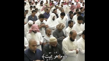 يتجرعه ولا يكاد يسيغه💔|تلاوة باكيه للشيخ ناصر القطامي😭|حالات واتس اب دينة🕊❤