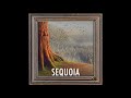 Miniature de la vidéo de la chanson Sequoia