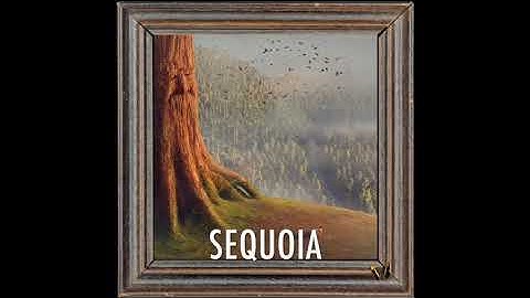 Thumbnail of SEQUOIA