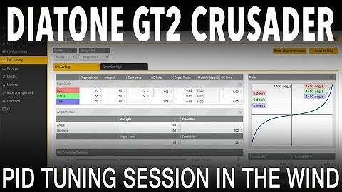 Diatone GT2-200 Crusader - tuning session in the wind