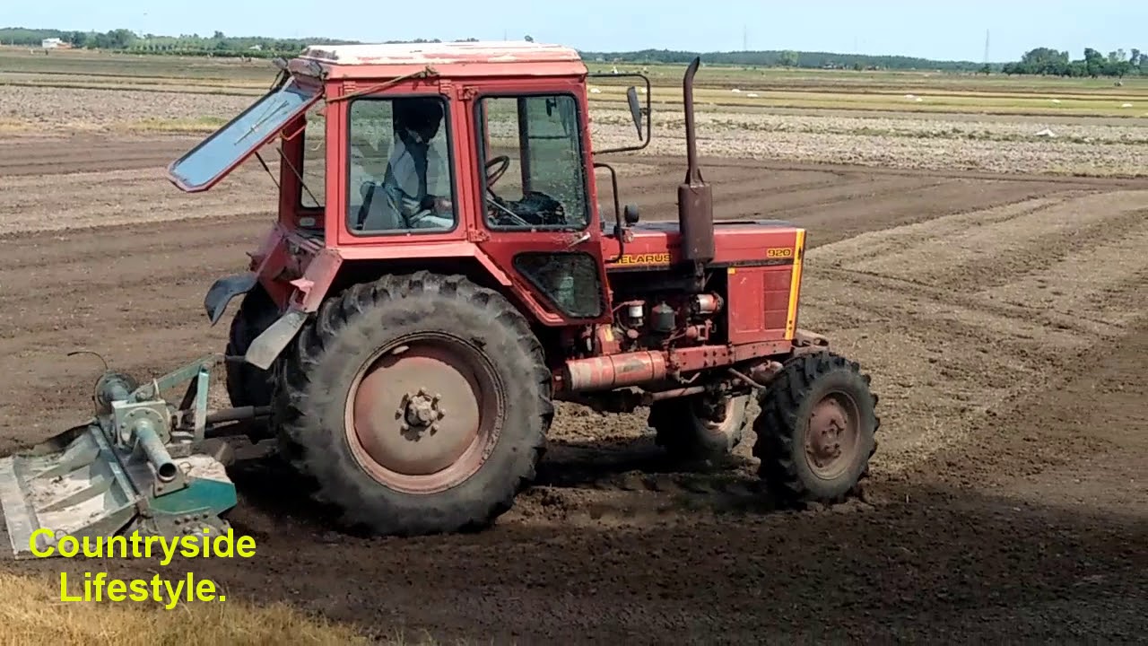 Ford club belarus