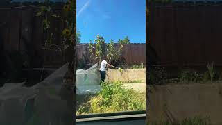 Beautiful Blooms Await You fok flowers