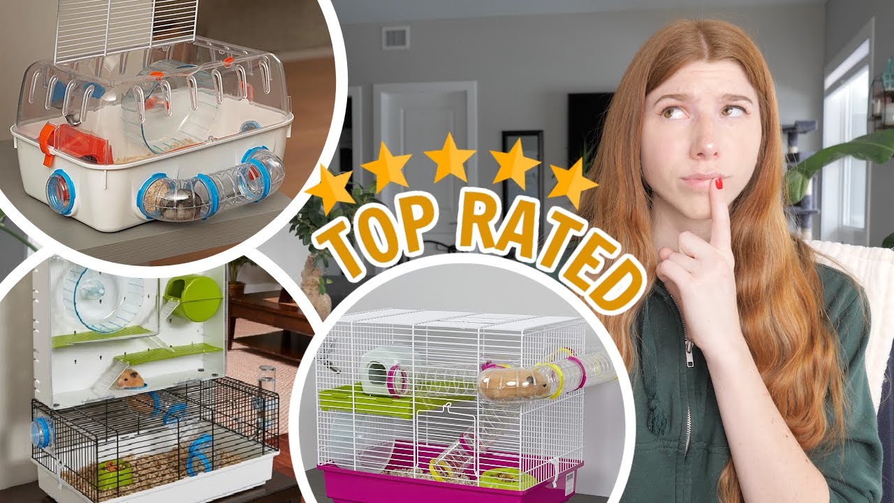 Top Rated Hamster Cages? I think not 😳 - YouTube