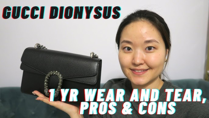 Pros and cons to the Small Gucci Dionysus - 2022 mini review — ha-na