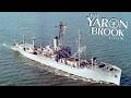 Iran; USS Liberty; Nowak Reexamined; AI Populism; Unskilled; G. Wood; Achievement | Yaron Brook Show
