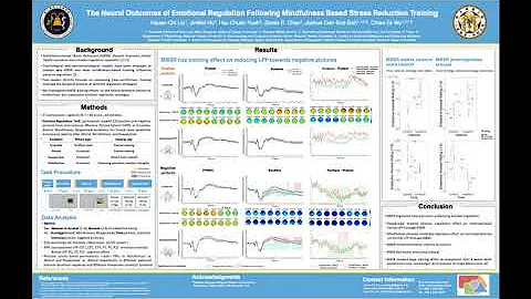 CNS  Poster Presentation |  Liu Hsuan Chi