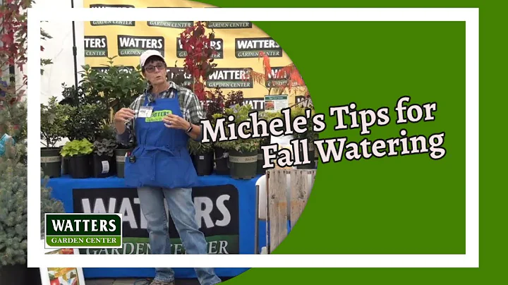 Michele's Fall Watering Tips