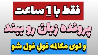 چطوری بدون کلاس زبان مکالمه انگلیسی رو یاد بگیرم _ راز مکالمه سریع فقط با ۱۷۵جمله#آموزش_زبان_انگلیسی