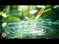 Bamboo Water Relaxing Music, Relaxing Music for Stress Relief, Zen Meditation Music, Water Flowing