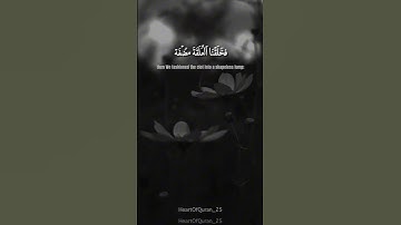 سورة المؤمنون || آية 12-13-14 || صفحة 342 ياسر الدوسري