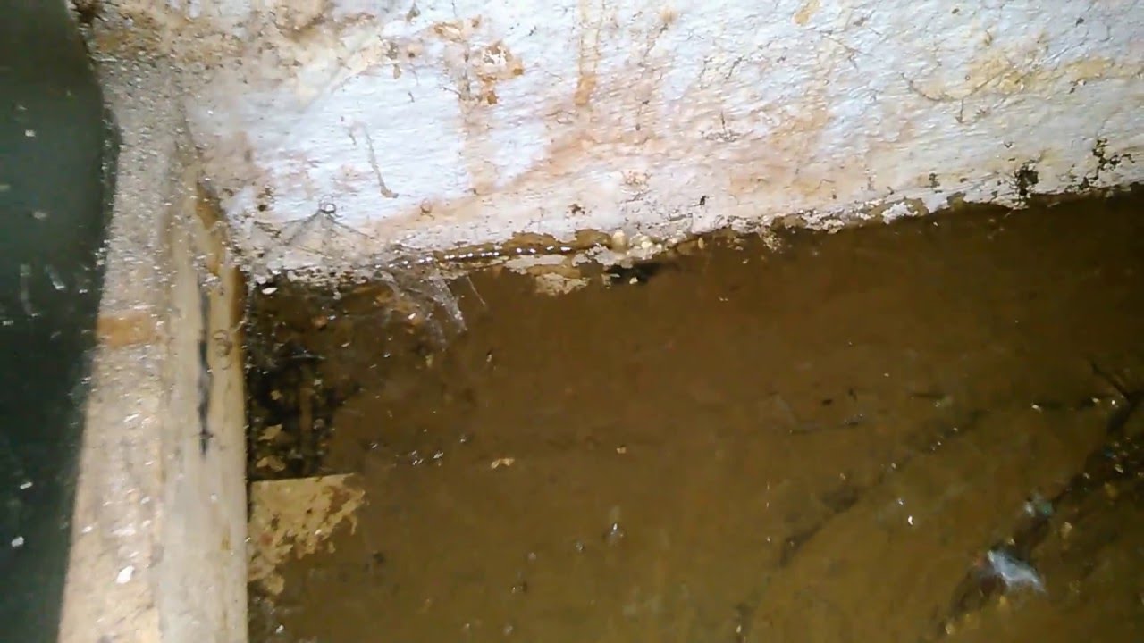 Water pouring through concrete foundation - YouTube