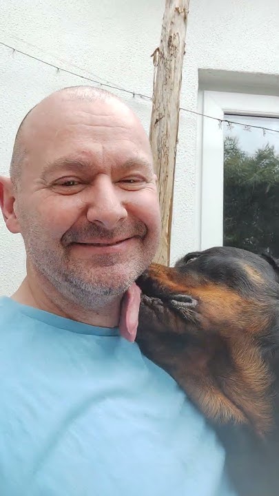 restricted-dog-breeds-ireland-make-them-love-people-1st-socialise