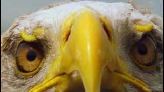 Digi World HD Hungary FTA Testing 07-02-13 hd1080