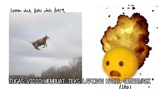 TUGAS VIDIO MEMBUAT TEKS LAPORAN HASIL OBSERVASI (LHO) SAPI!