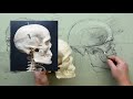 Anatomy for artists  head  neck