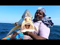 Golden Trevally Fishes Caught in Sea