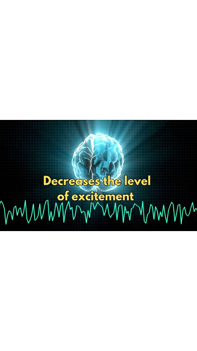 WHAT REALLY HAPPENS WHEN YOU TAKE XANAX (ALPRAZOLAM)?