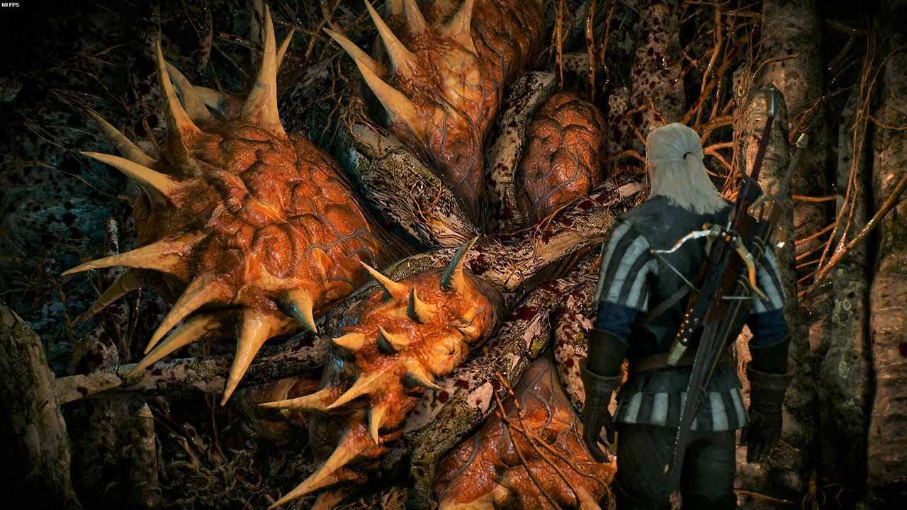 квест хозяйки леса ведьмак 3. хозяйки леса ведьмак 3 лучший квест. дух леса ведьмак 3 на карте. квест хозяйки леса. ведьмак 3 игра хозяйки леса.