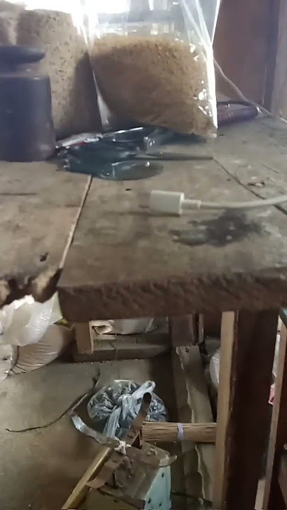 Muka tua jiwa muda
