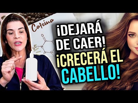 Cómo Detuve la