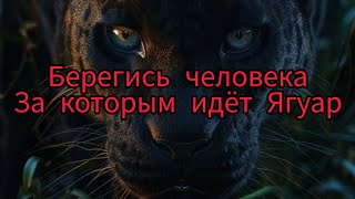 картинка: 💥ВОСХОД ЯГУАРА🐆БУСТЕР💯⭐️🔥осторожно⚠️очень МОЩНО🏆