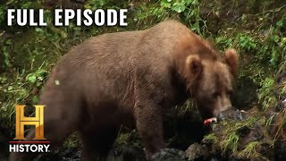 Mountain Men: Race Against the Bears (S7, E2) | Full Episode